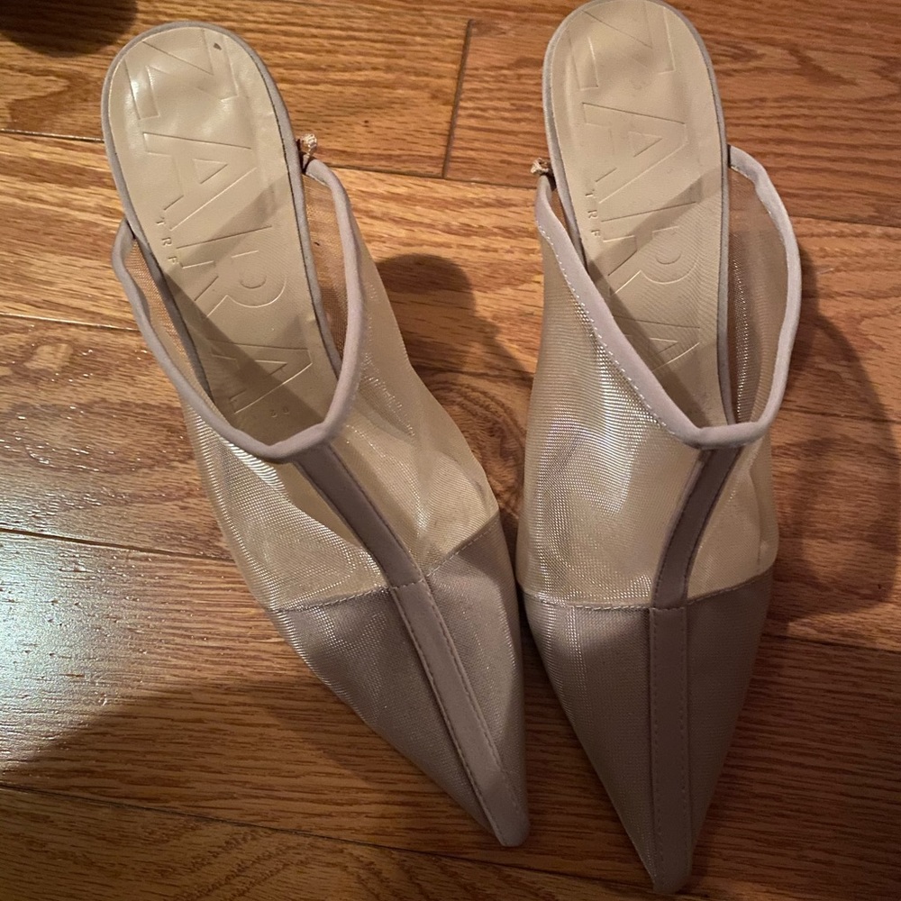 Mesh Nude Zara Clear Heeled Mules.